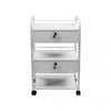 B1 Lockable Beauty Trolley 2 Drawer 3 Shelf Laminate White